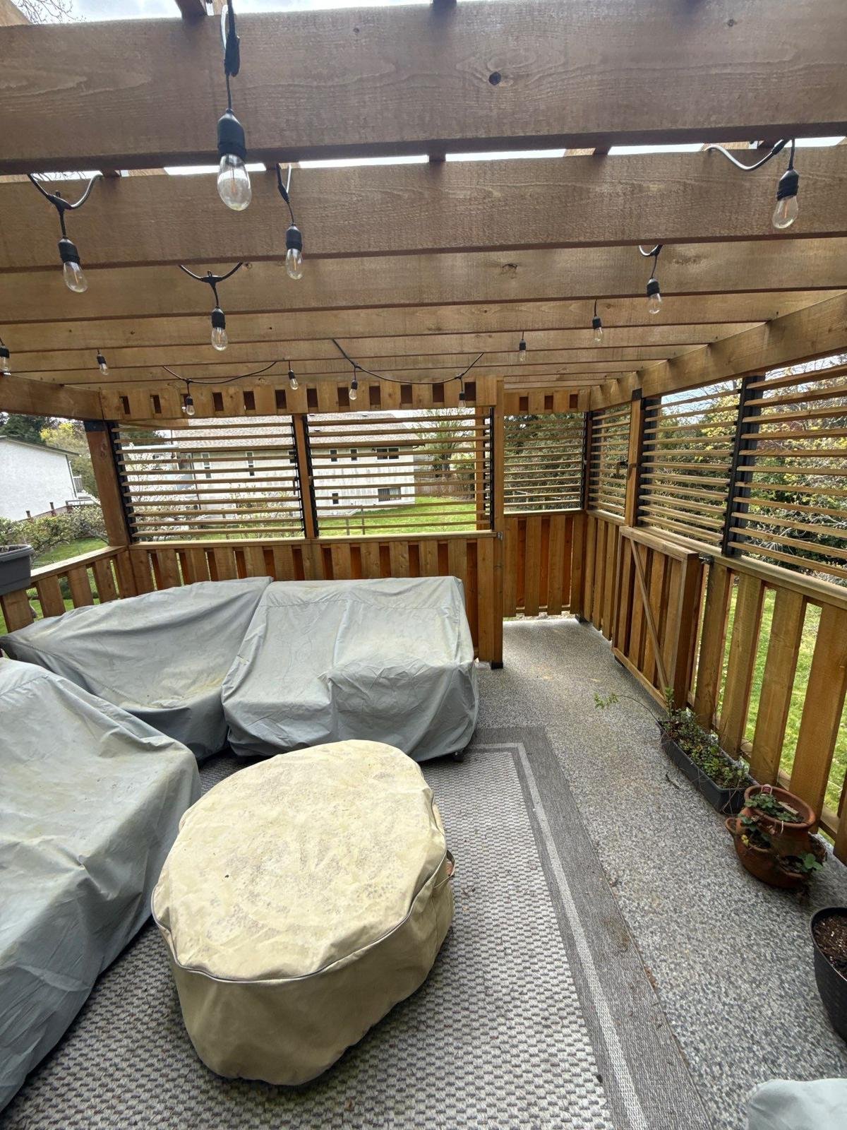 Staining Project 11