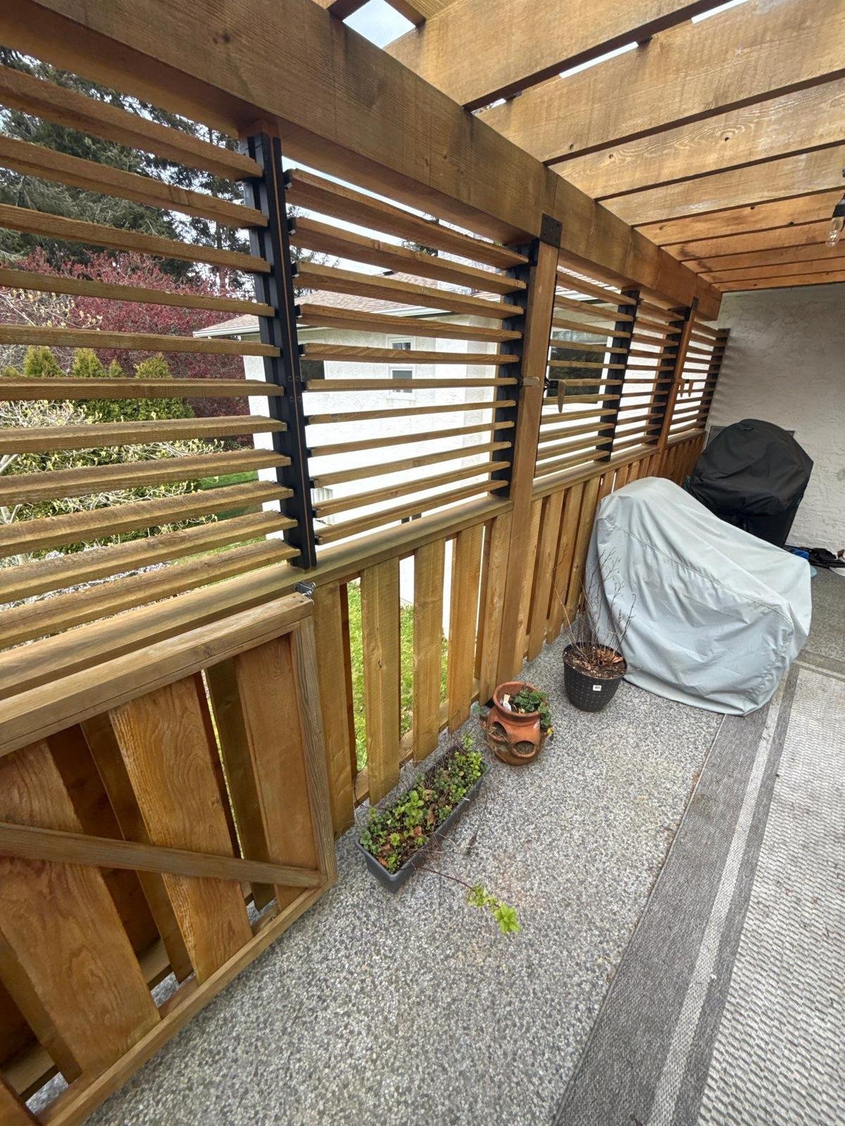 Staining Project 12