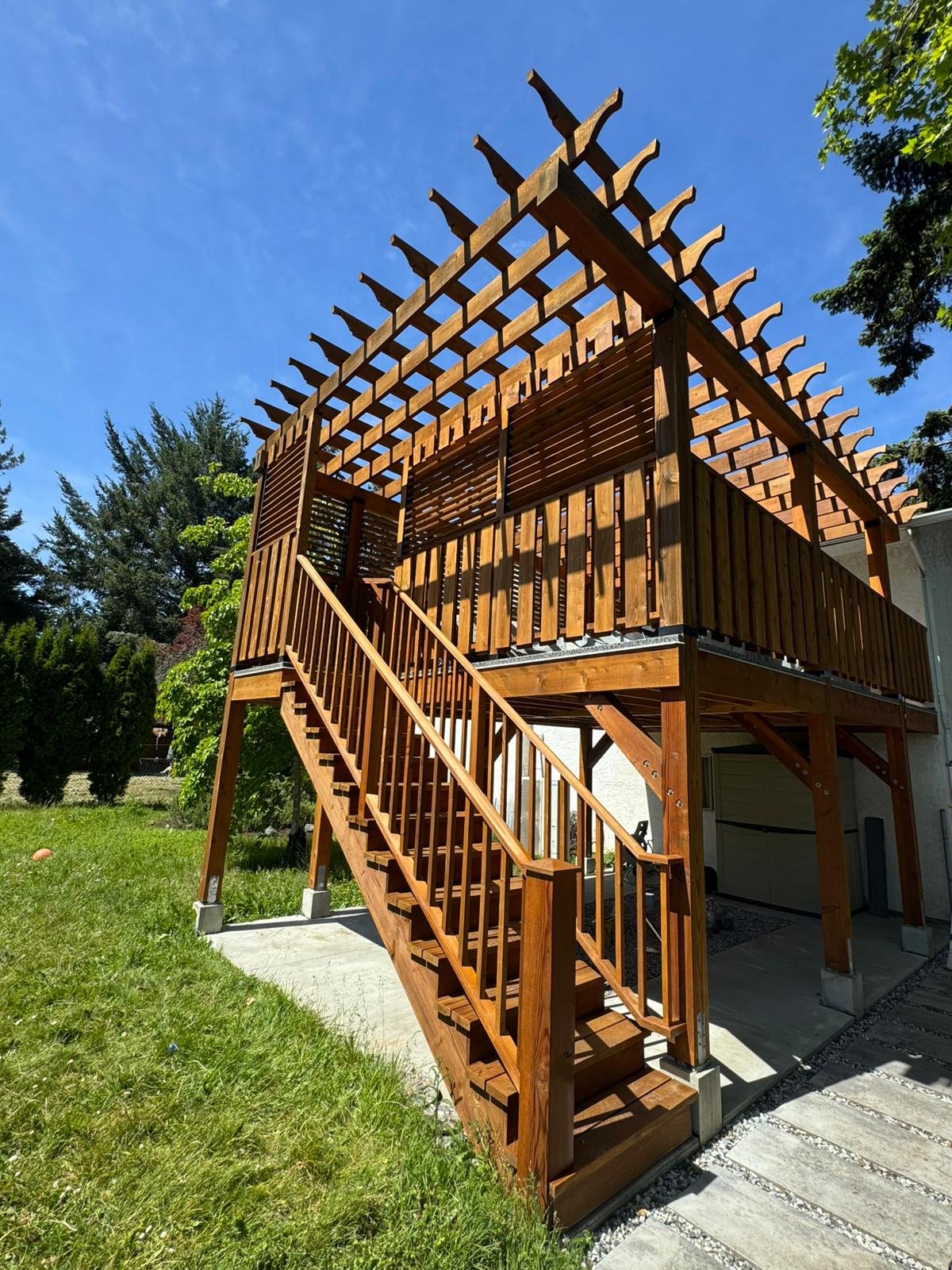 Staining Project 4