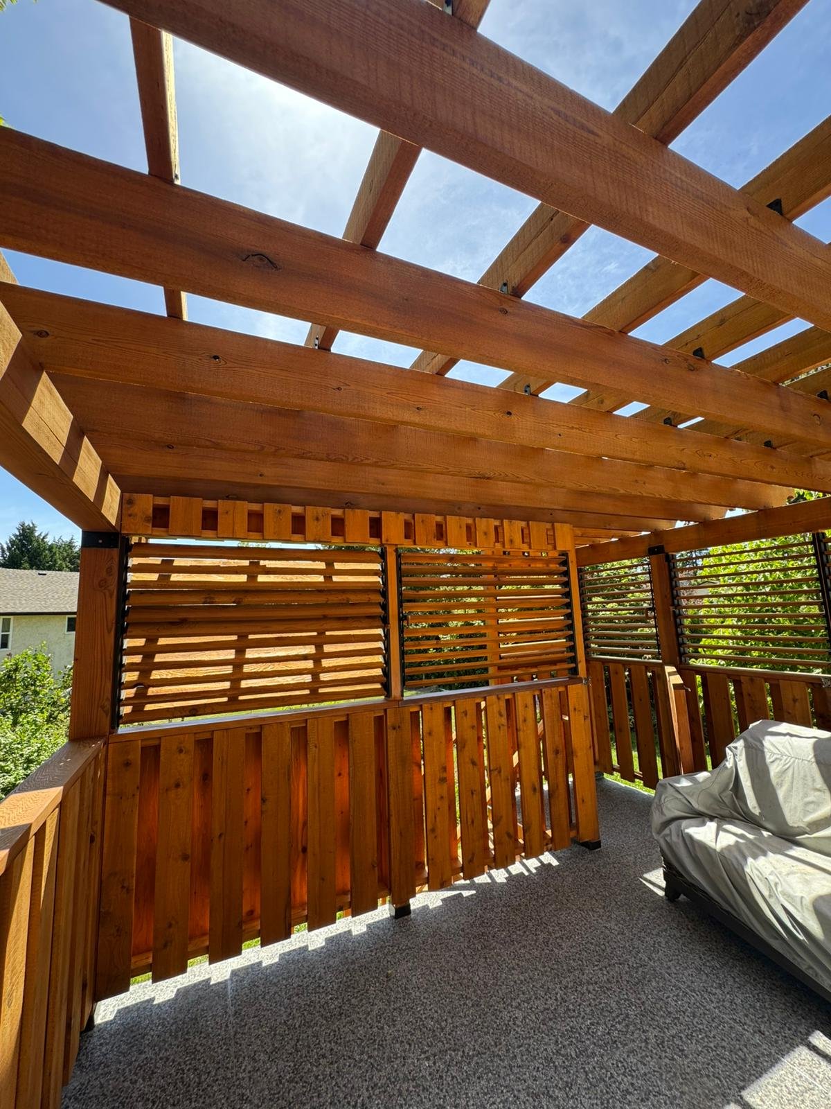 Staining Project 7